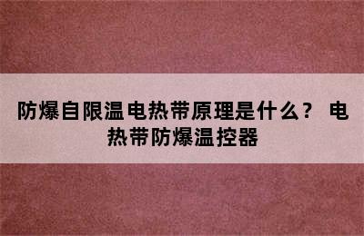 防爆自限温电热带原理是什么？ 电热带防爆温控器